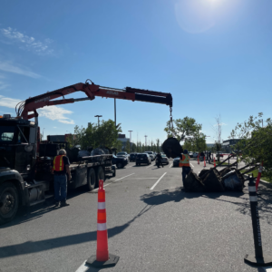 Tree Delivery