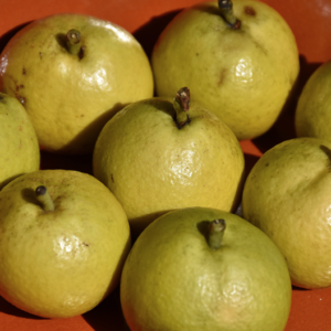 Golden Spice Pear